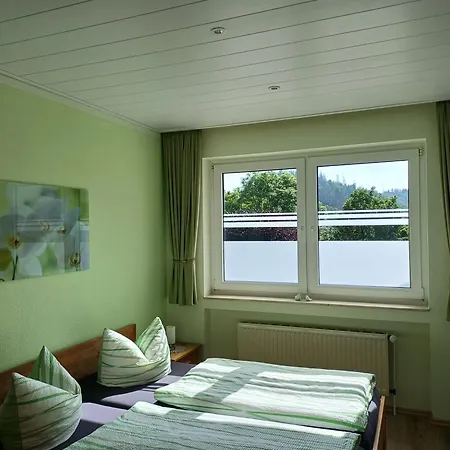 Haus Nietmann Kleine Gemuetliche Mit Modernen Akzenten * Альтенау